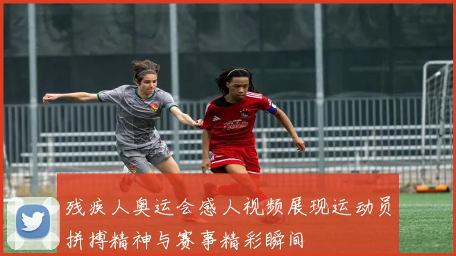 残疾人奥运会感人视频展现运动员拼搏精神与赛事精彩瞬间
