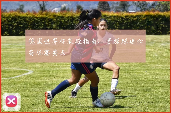 德国世界杯装腔指南：资深球迷必备观赛要点