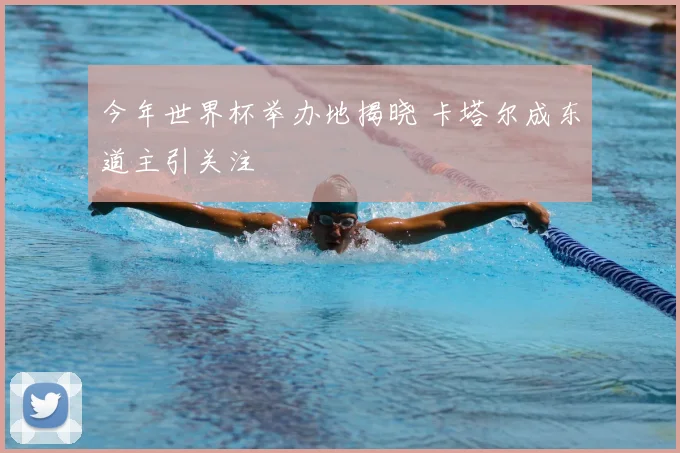 今年世界杯举办地揭晓 卡塔尔成东道主引关注