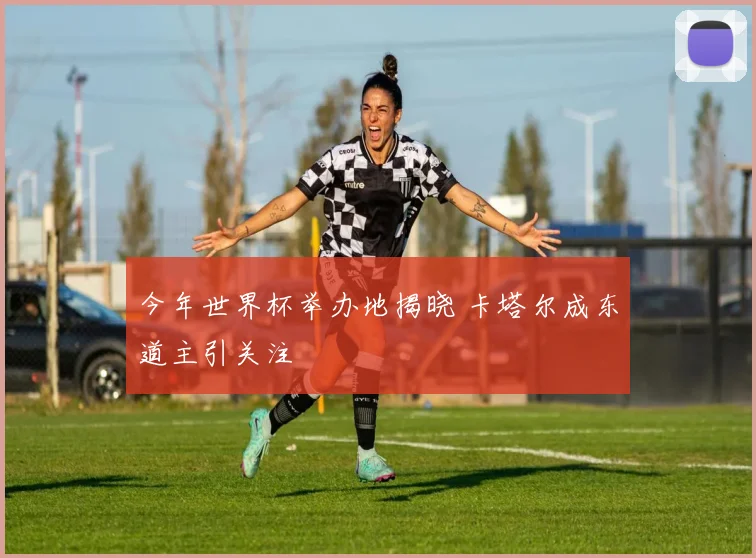 今年世界杯举办地揭晓 卡塔尔成东道主引关注